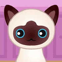 Play Guess the kitty - Free online game